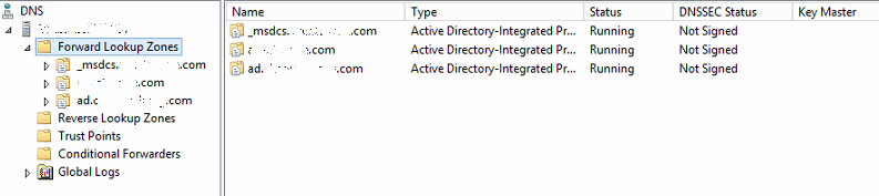 Active Directory Integrated Dns Zone _Msdcs Properties
