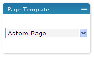 WordPress Page Template Option for aStore