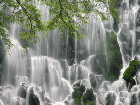 Beautiful Vista Dream Scene Desktop Video Wallpaper with Nature Theme -  Tech Journey