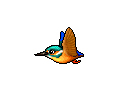 DesktopBird Kingfisher