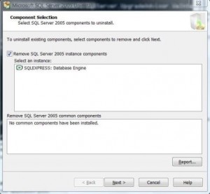 Uninstall and Remove Multiple Database Instances of Microsoft SQL ...