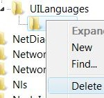 Force Windows Vista SP1 Beta to Show Up & Available for Install in WU of Non-Supported Language Locale Delete UI Language Setting in Registry
