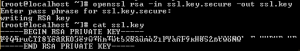 decrypt rsa with private key python decrypt rsa with private key python