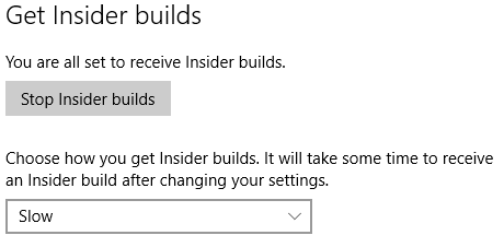 Slow Ring for Windows Insider Builds