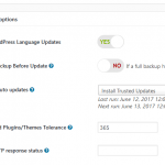 How to Enable Auto Update WordPress Core Upgrades in MainWP